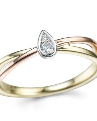 Ring nr3955