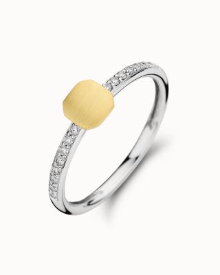 Ring nr4109
