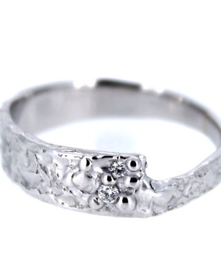 Ring nr4631