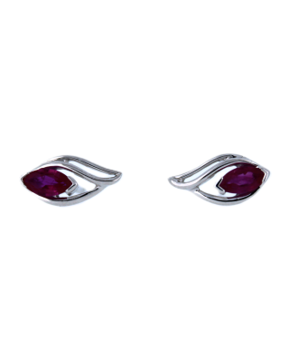 Oorbellen nr2585