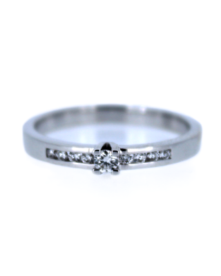 Ring nr3016