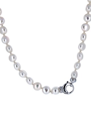 Collier nr3243