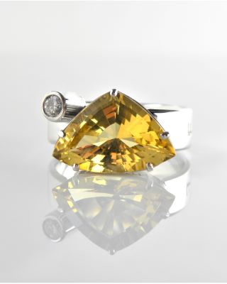 Ring nr3309