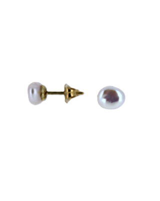 Oorbellen nr3486