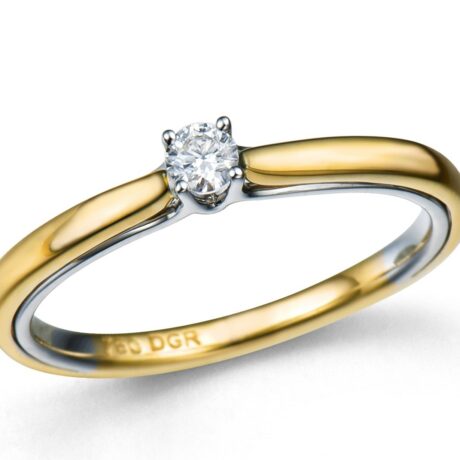 Ring nr3621