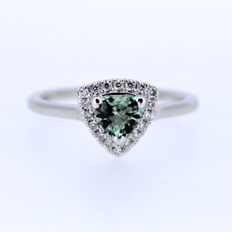 Ring nr3748