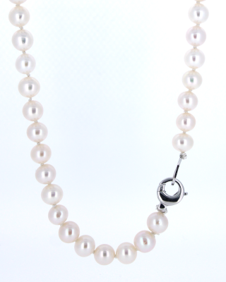 Collier nr4857