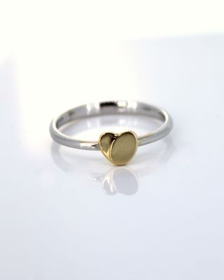 Ring nr5076