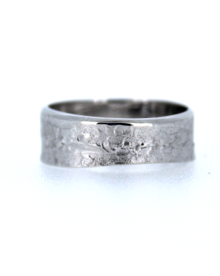 Ring nr5137
