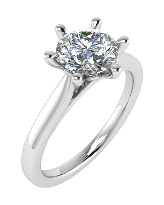 Ring nr5301