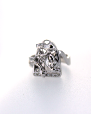 Ring nr5354