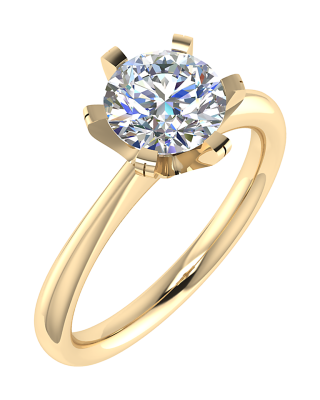 Ring nr5495