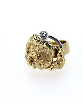 Ring nr5505