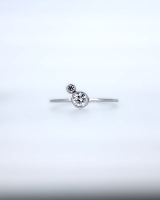 Ring nr5542