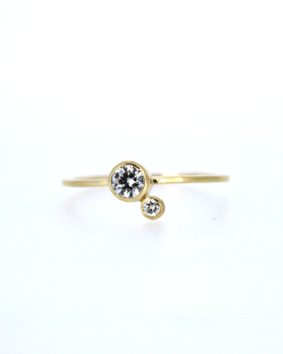 Ring nr5543
