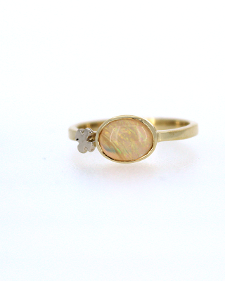 Ring nr5555