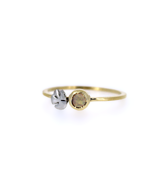 Ring nr5643
