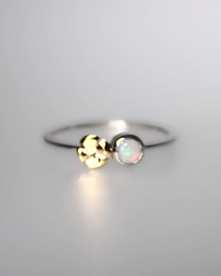 Ring nr5644